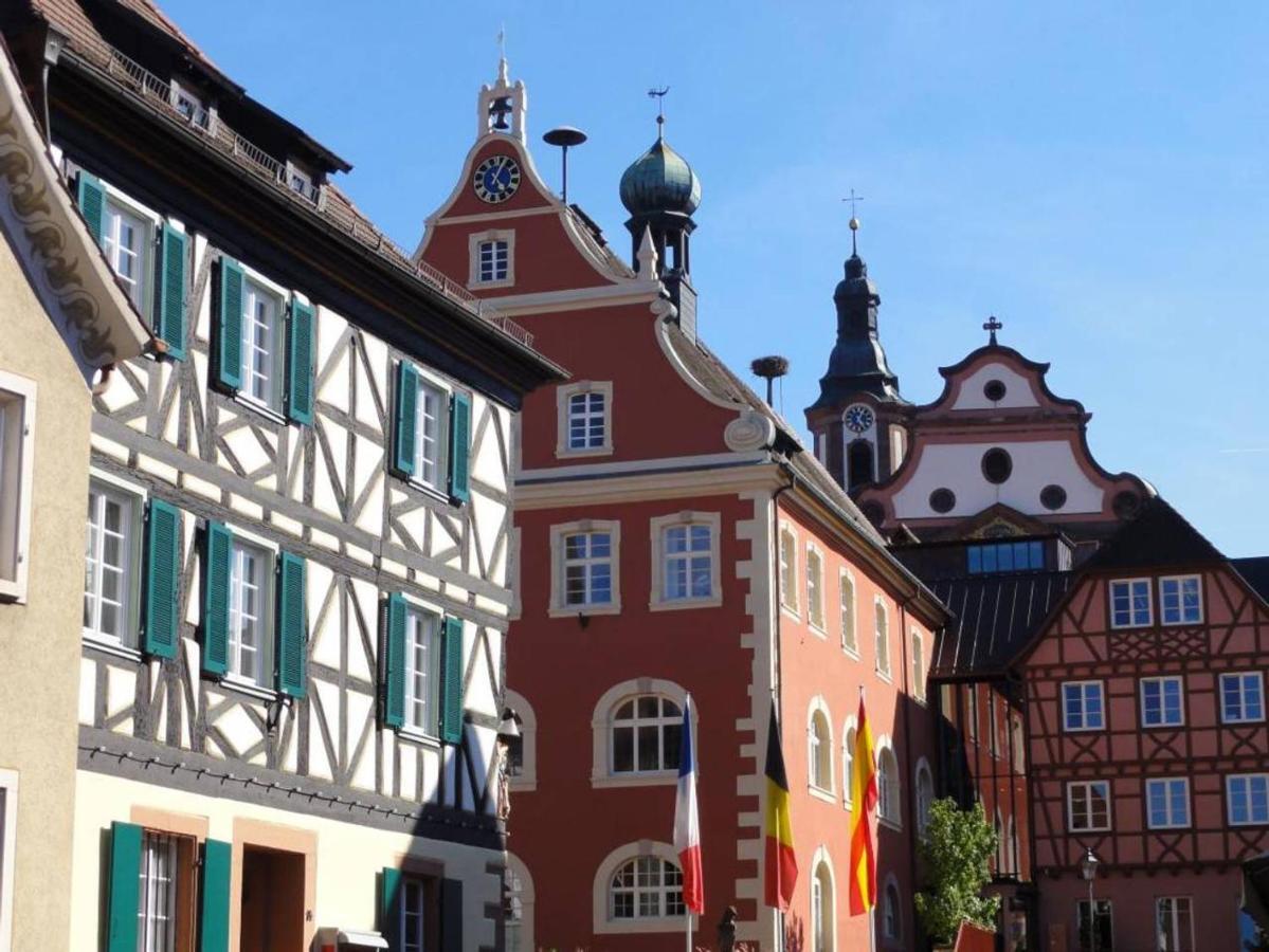 Perfekt Fuer Familien Und Gruppen Nur 10Min Vom Europapark - W6 Apartamento Ettenheim Exterior foto